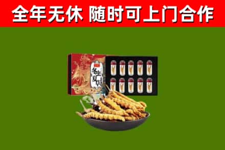 景德镇回收冬虫夏草价格